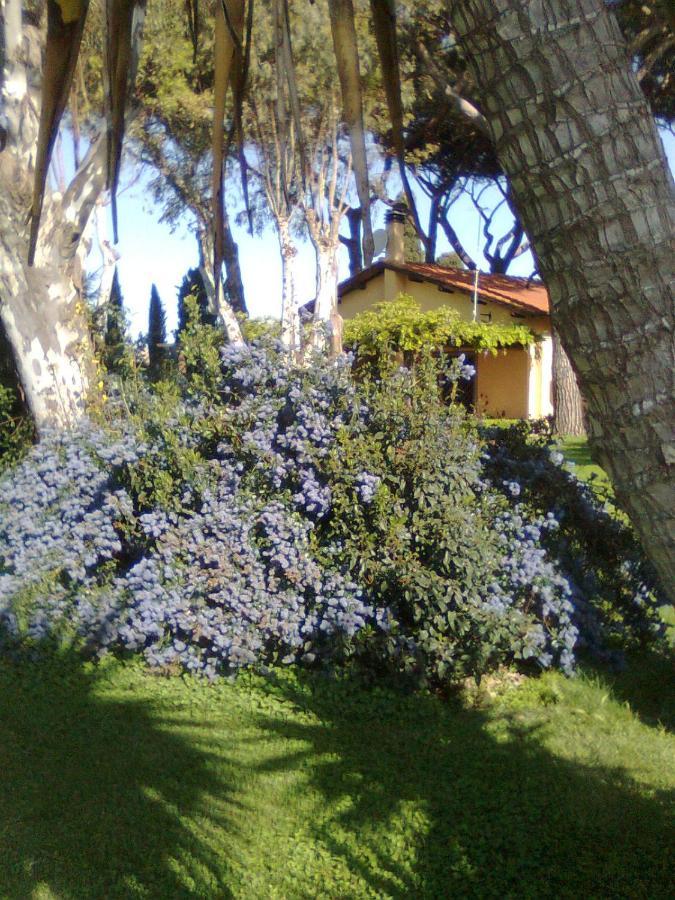Casa Vacanze Vigna Di Valle ブラッチャーノ エクステリア 写真