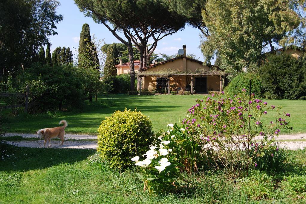 Casa Vacanze Vigna Di Valle ブラッチャーノ 部屋 写真