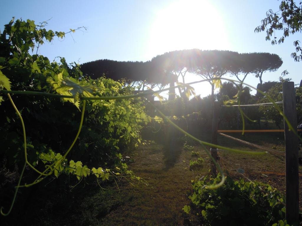 Casa Vacanze Vigna Di Valle ブラッチャーノ エクステリア 写真