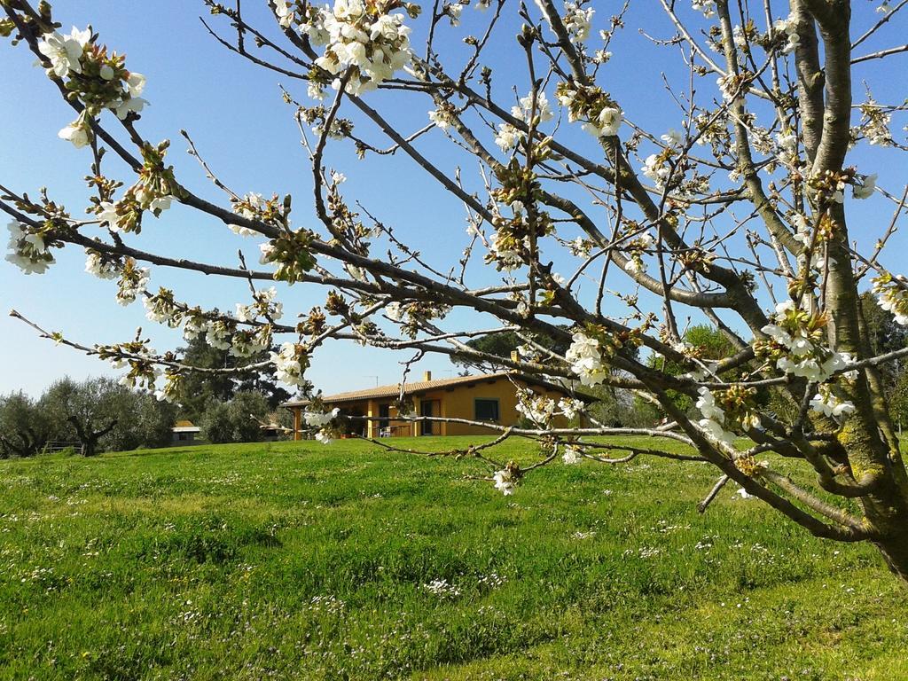 Casa Vacanze Vigna Di Valle ブラッチャーノ エクステリア 写真