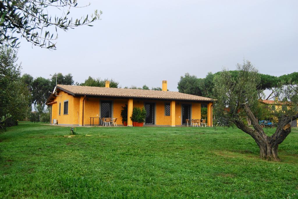 Casa Vacanze Vigna Di Valle ブラッチャーノ 部屋 写真