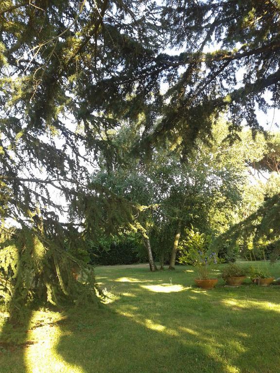 Casa Vacanze Vigna Di Valle ブラッチャーノ エクステリア 写真