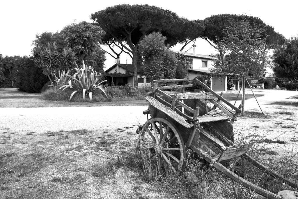 Casa Vacanze Vigna Di Valle ブラッチャーノ エクステリア 写真
