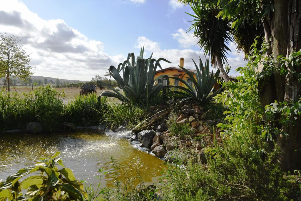 Casa Vacanze Vigna Di Valle ブラッチャーノ エクステリア 写真