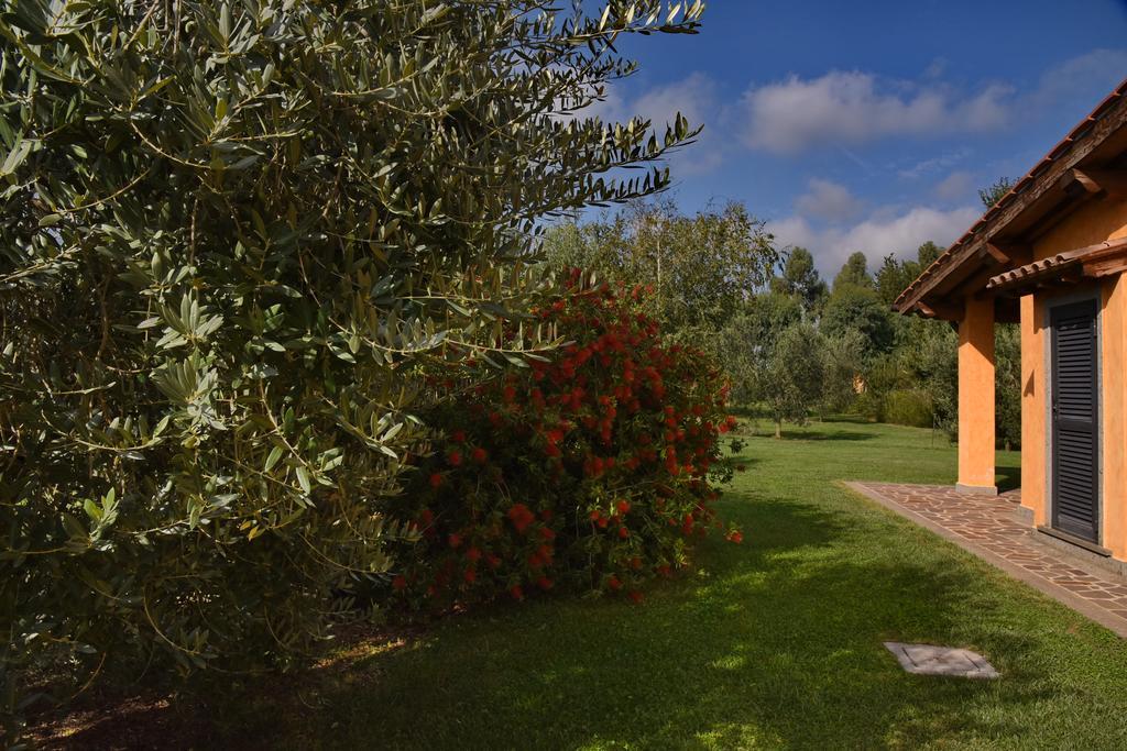 Casa Vacanze Vigna Di Valle ブラッチャーノ 部屋 写真