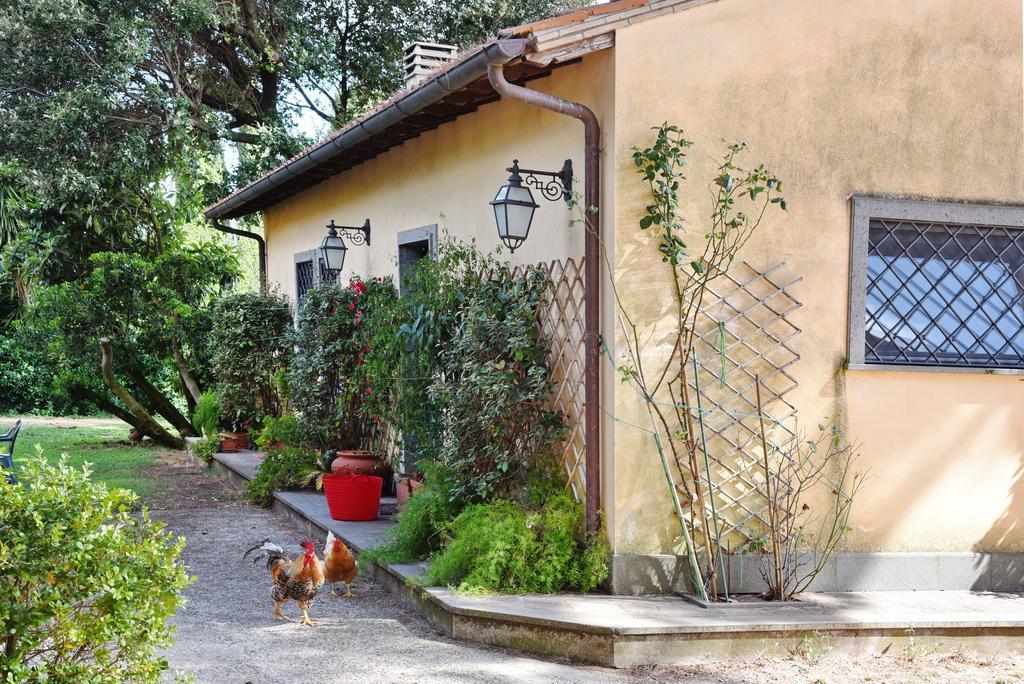 Casa Vacanze Vigna Di Valle ブラッチャーノ 部屋 写真